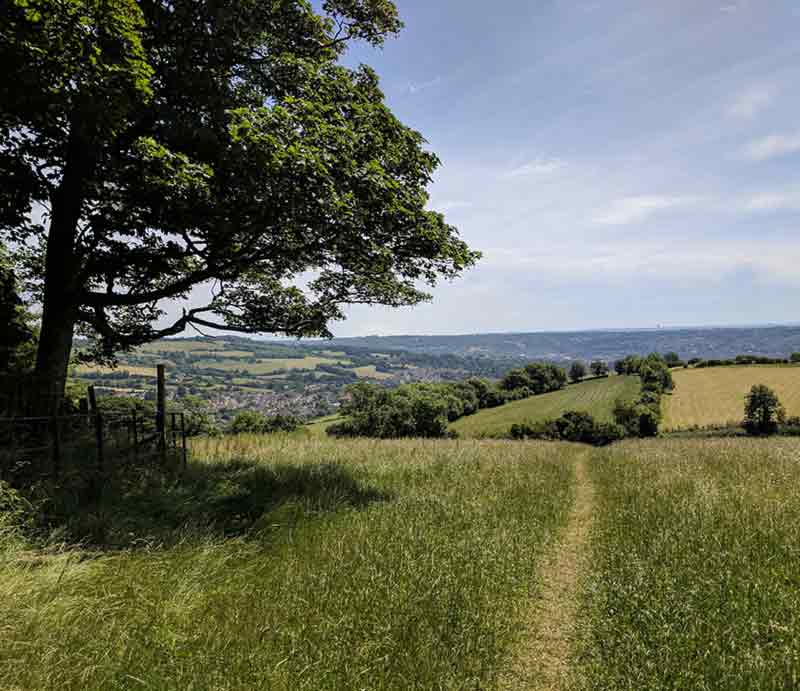 Rolling green fields and woodland.